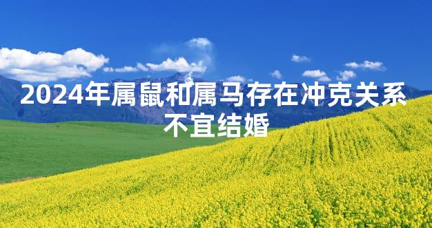 2024年属鼠和属马存在冲克关系 不宜结婚